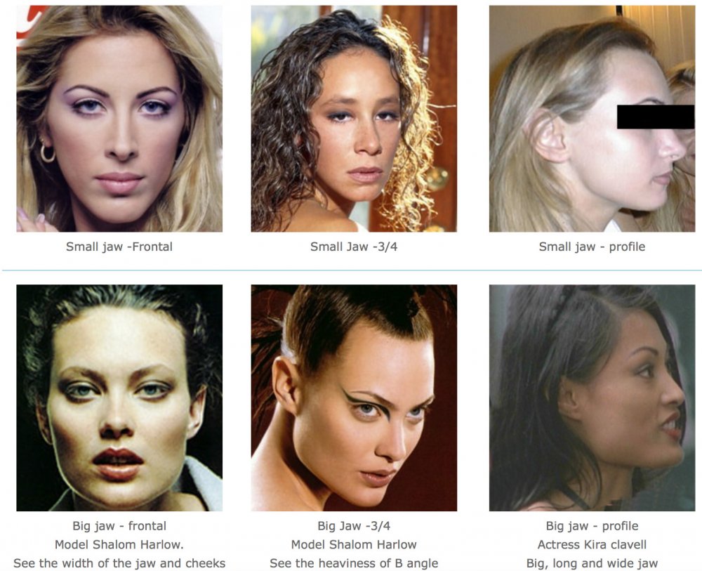 Strong jawline female