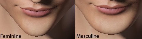 3D virtual model with ultra square jaw - Feminine vs Masculine chin